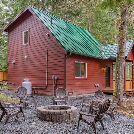 Mt. Rainier Cabin W/Hot Tub Ashford Esterno foto