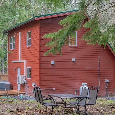 Mt. Rainier Cabin W/Hot Tub Ashford Esterno foto