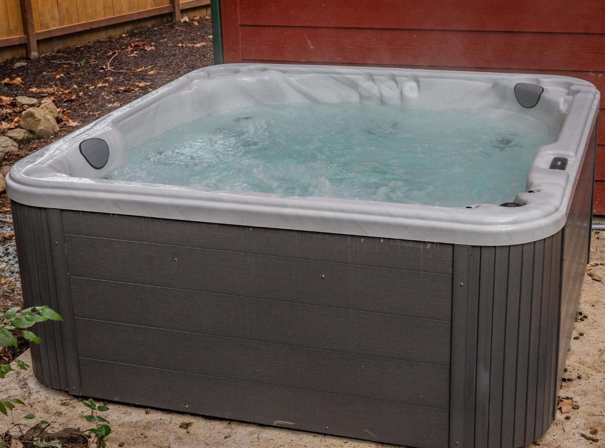 Mt. Rainier W/hot Tub *